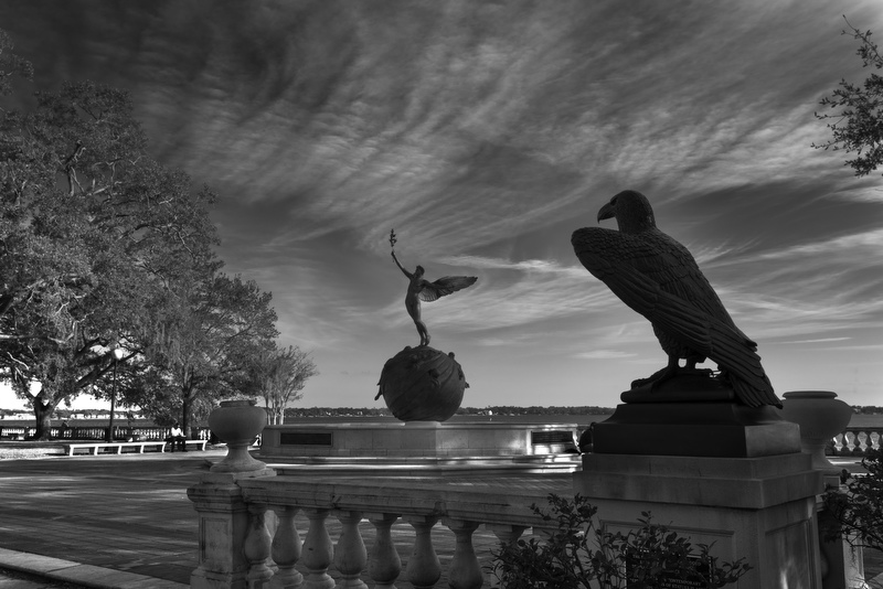 Memorial Park 
012516-26BW : Black and White : Will Dickey Florida Fine Art Nature and Wildlife Photography - Images of Florida's First Coast - Nature and Landscape Photographs of Jacksonville, St. Augustine, Florida nature preserves