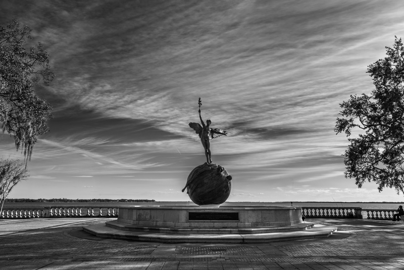 Memorial Park 
012516-21BW : Black and White : Will Dickey Florida Fine Art Nature and Wildlife Photography - Images of Florida's First Coast - Nature and Landscape Photographs of Jacksonville, St. Augustine, Florida nature preserves