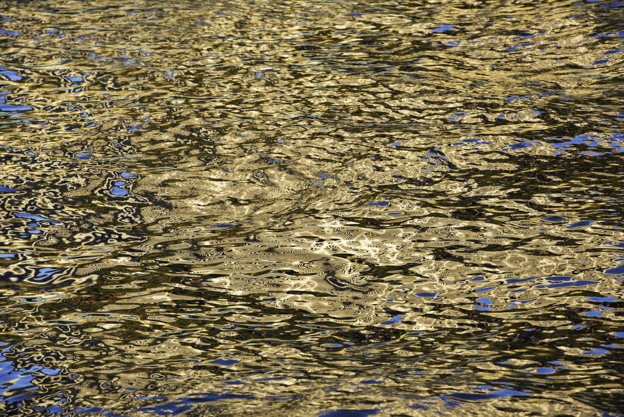 Water Colors
082116-42 : Abstract Realities : Will Dickey Florida Fine Art Nature and Wildlife Photography - Images of Florida's First Coast - Nature and Landscape Photographs of Jacksonville, St. Augustine, Florida nature preserves