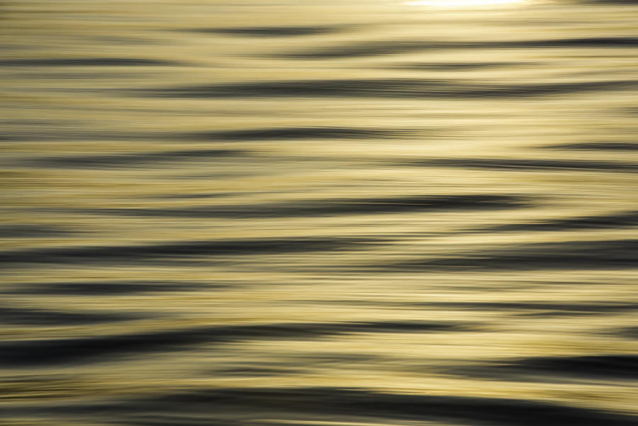 Water Colors
082116-116 : Abstract Realities : Will Dickey Florida Fine Art Nature and Wildlife Photography - Images of Florida's First Coast - Nature and Landscape Photographs of Jacksonville, St. Augustine, Florida nature preserves