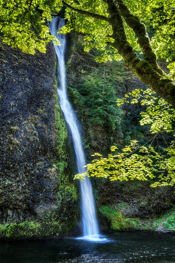 Horsetail Falls 
070415-224 : Pacific Northwest  : Will Dickey Florida Fine Art Nature and Wildlife Photography - Images of Florida's First Coast - Nature and Landscape Photographs of Jacksonville, St. Augustine, Florida nature preserves