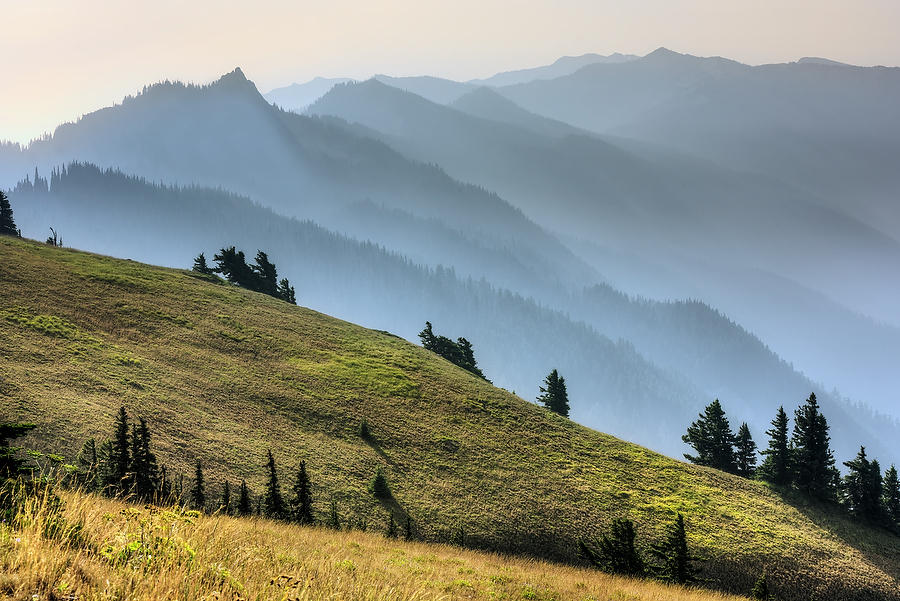 Hurricane Ridge
070915-25 : Pacific Northwest  : Will Dickey Florida Fine Art Nature and Wildlife Photography - Images of Florida's First Coast - Nature and Landscape Photographs of Jacksonville, St. Augustine, Florida nature preserves