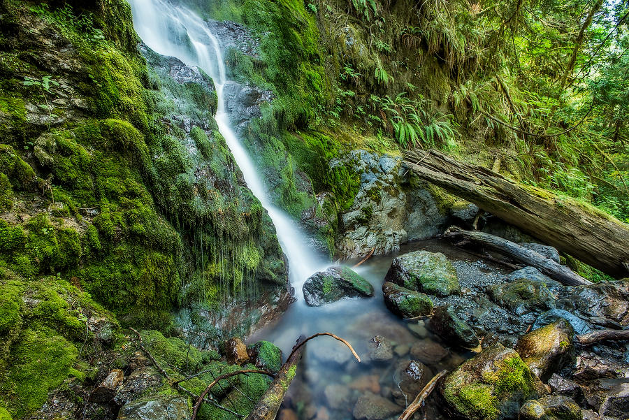 Merriman Falls 
070715-61 : Pacific Northwest  : Will Dickey Florida Fine Art Nature and Wildlife Photography - Images of Florida's First Coast - Nature and Landscape Photographs of Jacksonville, St. Augustine, Florida nature preserves