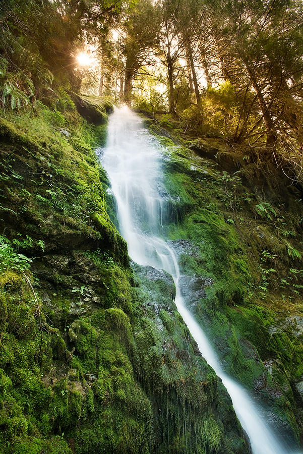 Merriman Falls 
070715-65 : Pacific Northwest  : Will Dickey Florida Fine Art Nature and Wildlife Photography - Images of Florida's First Coast - Nature and Landscape Photographs of Jacksonville, St. Augustine, Florida nature preserves