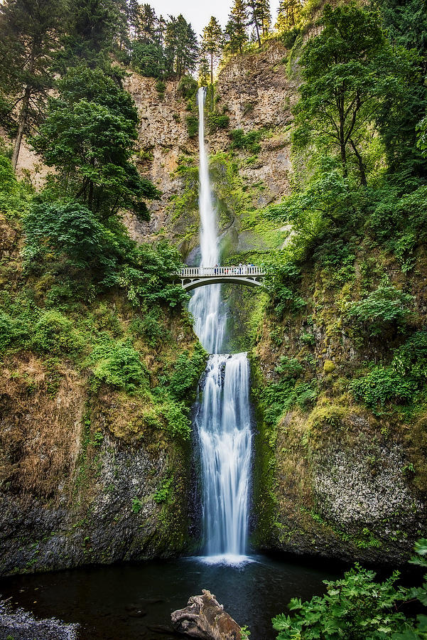 Multnomah Falls
070415-12 : Pacific Northwest  : Will Dickey Florida Fine Art Nature and Wildlife Photography - Images of Florida's First Coast - Nature and Landscape Photographs of Jacksonville, St. Augustine, Florida nature preserves