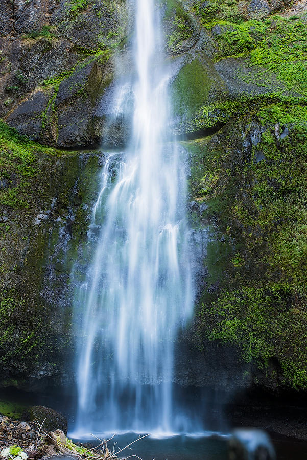 Multnomah Falls
070415-75 : Pacific Northwest  : Will Dickey Florida Fine Art Nature and Wildlife Photography - Images of Florida's First Coast - Nature and Landscape Photographs of Jacksonville, St. Augustine, Florida nature preserves