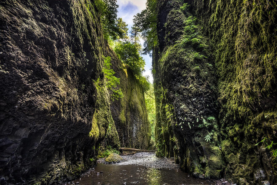 Oneonta Gorge
070415-253a : Pacific Northwest  : Will Dickey Florida Fine Art Nature and Wildlife Photography - Images of Florida's First Coast - Nature and Landscape Photographs of Jacksonville, St. Augustine, Florida nature preserves