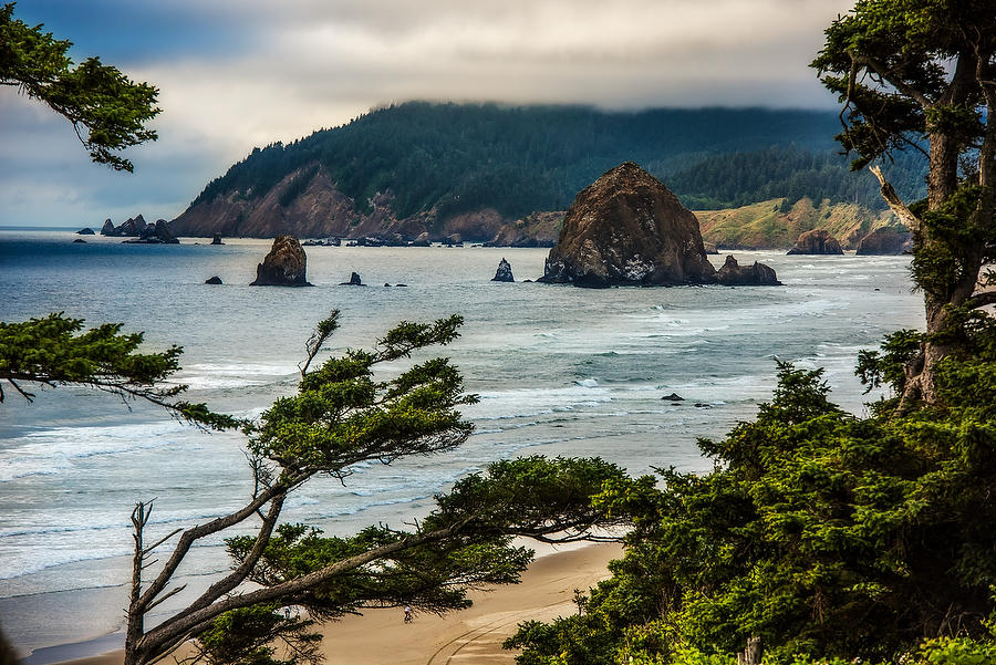 Oregon Coast
070615-294 : Pacific Northwest  : Will Dickey Florida Fine Art Nature and Wildlife Photography - Images of Florida's First Coast - Nature and Landscape Photographs of Jacksonville, St. Augustine, Florida nature preserves