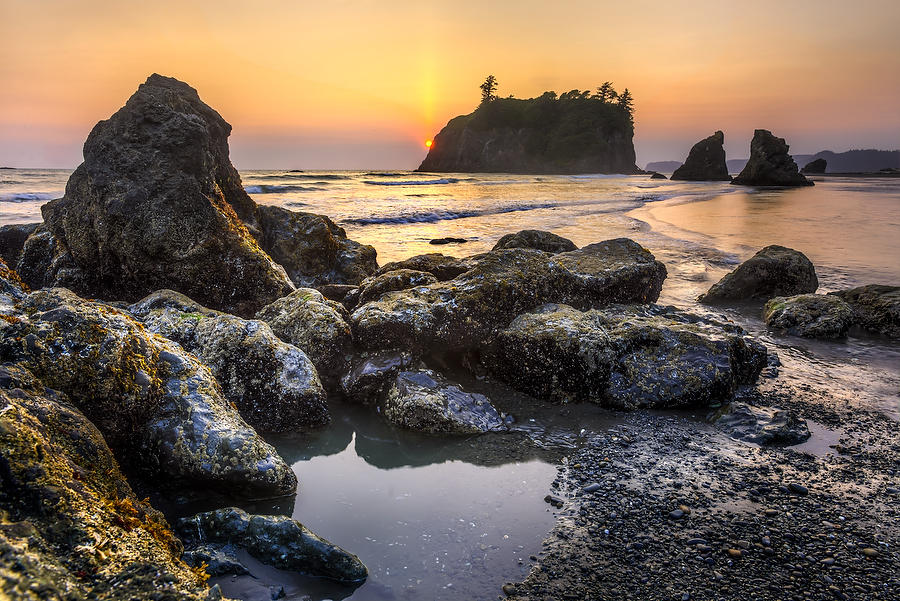 Ruby Beach
070715-310 : Pacific Northwest  : Will Dickey Florida Fine Art Nature and Wildlife Photography - Images of Florida's First Coast - Nature and Landscape Photographs of Jacksonville, St. Augustine, Florida nature preserves