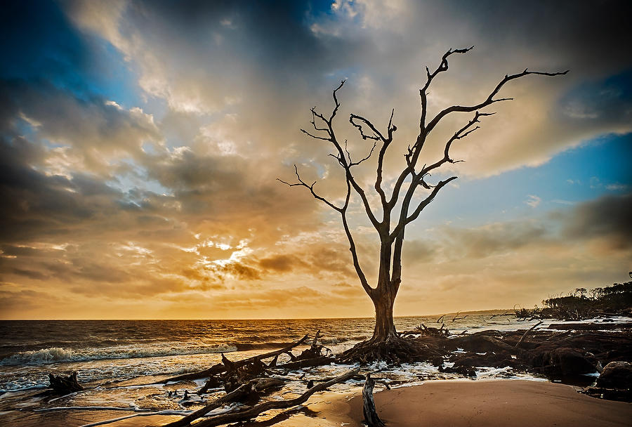 Big Talbot Clearing Storm 041714-226 : Timucuan Preserve  : Will Dickey Florida Fine Art Nature and Wildlife Photography - Images of Florida's First Coast - Nature and Landscape Photographs of Jacksonville, St. Augustine, Florida nature preserves