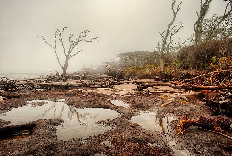 Big Talbot Fog
121512-135 : Timucuan Preserve  : Will Dickey Florida Fine Art Nature and Wildlife Photography - Images of Florida's First Coast - Nature and Landscape Photographs of Jacksonville, St. Augustine, Florida nature preserves