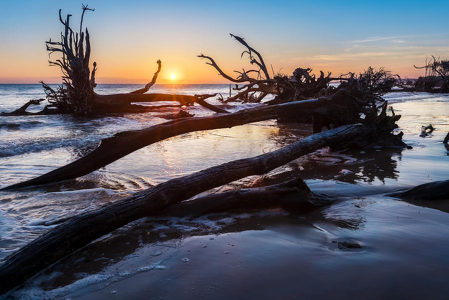 Big Talbot Island 
030516-36 : Timucuan Preserve  : Will Dickey Florida Fine Art Nature and Wildlife Photography - Images of Florida's First Coast - Nature and Landscape Photographs of Jacksonville, St. Augustine, Florida nature preserves