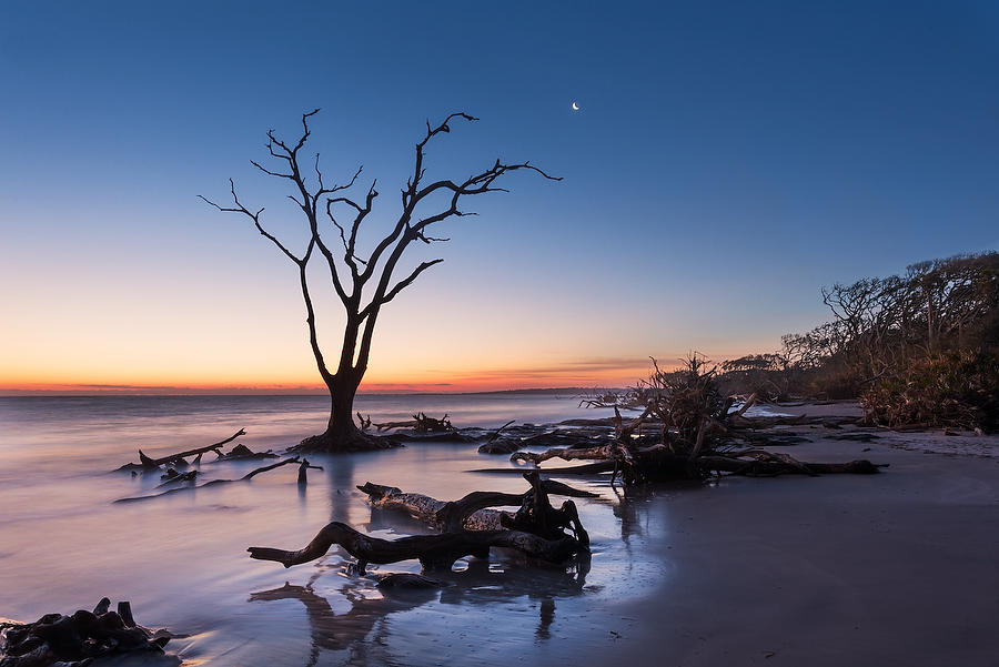 Big Talbot Moon 
030516-1 : Timucuan Preserve  : Will Dickey Florida Fine Art Nature and Wildlife Photography - Images of Florida's First Coast - Nature and Landscape Photographs of Jacksonville, St. Augustine, Florida nature preserves