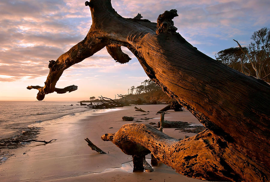 Big Talbot Sunrise 
032504-A22 : Timucuan Preserve  : Will Dickey Florida Fine Art Nature and Wildlife Photography - Images of Florida's First Coast - Nature and Landscape Photographs of Jacksonville, St. Augustine, Florida nature preserves