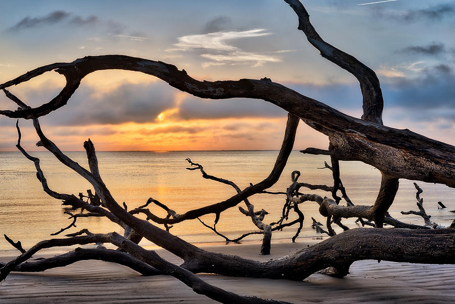 Big Talbot Sunrise 061717-72 : Timucuan Preserve  : Will Dickey Florida Fine Art Nature and Wildlife Photography - Images of Florida's First Coast - Nature and Landscape Photographs of Jacksonville, St. Augustine, Florida nature preserves