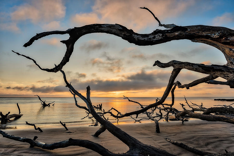 Big Talbot Sunrise 061717-82 : Timucuan Preserve  : Will Dickey Florida Fine Art Nature and Wildlife Photography - Images of Florida's First Coast - Nature and Landscape Photographs of Jacksonville, St. Augustine, Florida nature preserves