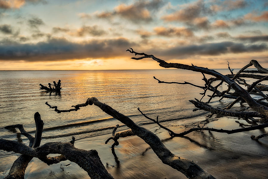 Big Talbot Sunrise 061717-92 : Timucuan Preserve  : Will Dickey Florida Fine Art Nature and Wildlife Photography - Images of Florida's First Coast - Nature and Landscape Photographs of Jacksonville, St. Augustine, Florida nature preserves