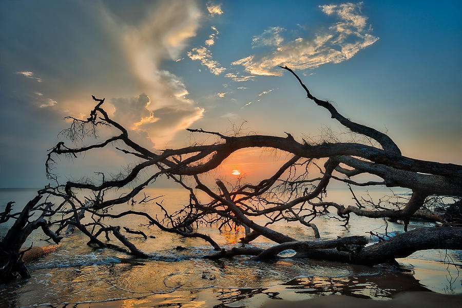 Big Talbot Sunrise 073012-34 : Timucuan Preserve  : Will Dickey Florida Fine Art Nature and Wildlife Photography - Images of Florida's First Coast - Nature and Landscape Photographs of Jacksonville, St. Augustine, Florida nature preserves