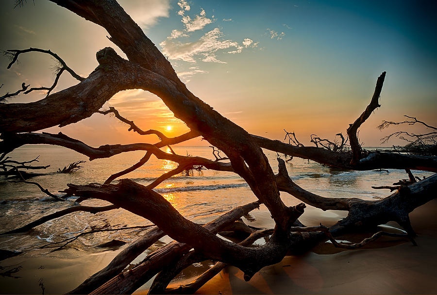 Big Talbot Sunrise 073012-70 : Timucuan Preserve  : Will Dickey Florida Fine Art Nature and Wildlife Photography - Images of Florida's First Coast - Nature and Landscape Photographs of Jacksonville, St. Augustine, Florida nature preserves