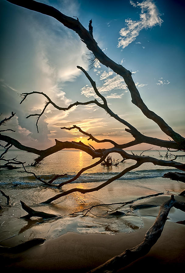 Big Talbot Sunrise 073012-97 : Timucuan Preserve  : Will Dickey Florida Fine Art Nature and Wildlife Photography - Images of Florida's First Coast - Nature and Landscape Photographs of Jacksonville, St. Augustine, Florida nature preserves