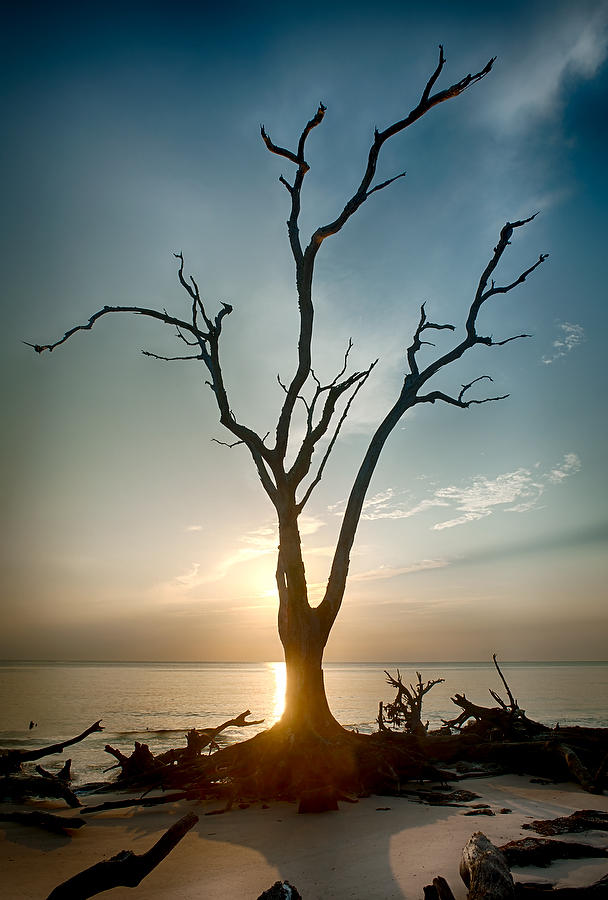 Big Talbot Sunrise 073012-106 : Timucuan Preserve  : Will Dickey Florida Fine Art Nature and Wildlife Photography - Images of Florida's First Coast - Nature and Landscape Photographs of Jacksonville, St. Augustine, Florida nature preserves