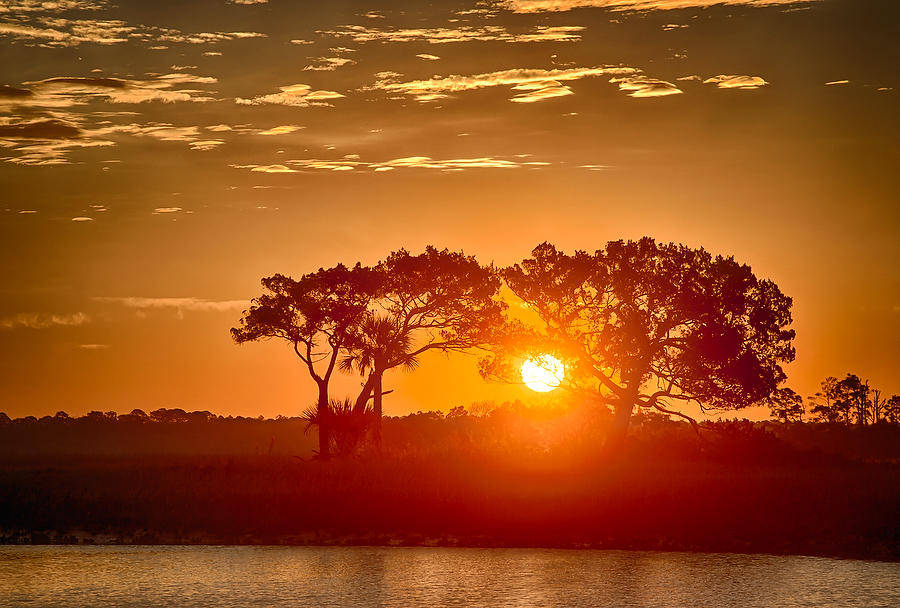 Cedar Point Sunrise 010513-55 : Timucuan Preserve  : Will Dickey Florida Fine Art Nature and Wildlife Photography - Images of Florida's First Coast - Nature and Landscape Photographs of Jacksonville, St. Augustine, Florida nature preserves