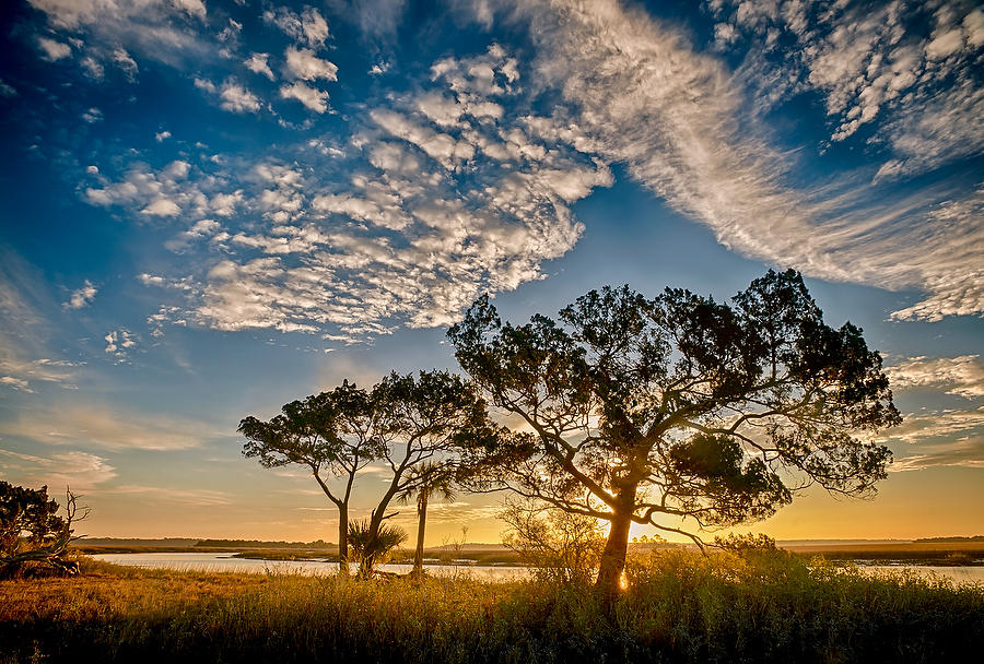 Cedar Point Sunrise 010513-118 : Timucuan Preserve  : Will Dickey Florida Fine Art Nature and Wildlife Photography - Images of Florida's First Coast - Nature and Landscape Photographs of Jacksonville, St. Augustine, Florida nature preserves