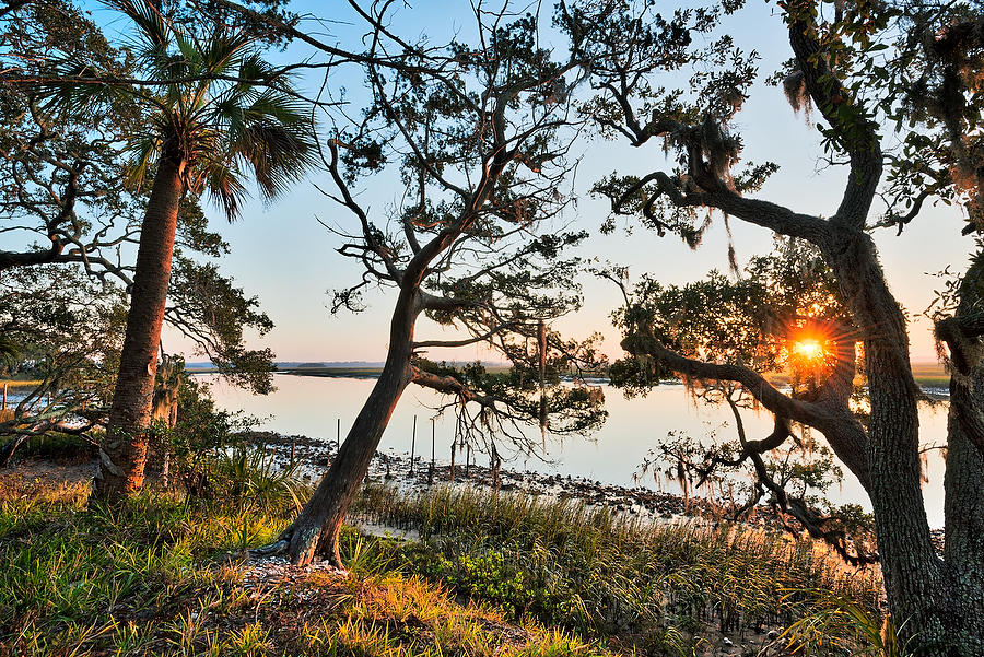 Cedar Point Sunrise 111916-89 : Timucuan Preserve  : Will Dickey Florida Fine Art Nature and Wildlife Photography - Images of Florida's First Coast - Nature and Landscape Photographs of Jacksonville, St. Augustine, Florida nature preserves