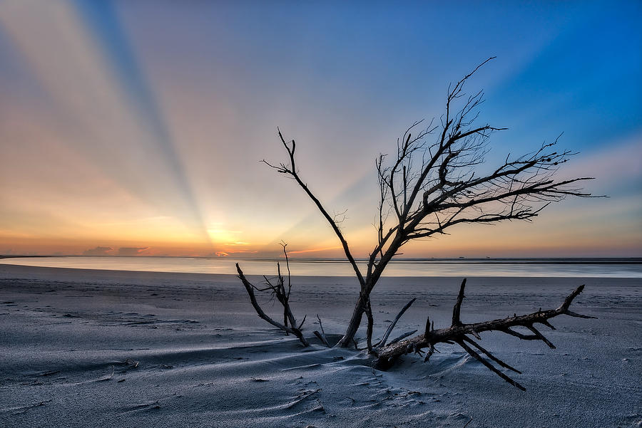 Little Talbot Sunrise 081016-55 : Timucuan Preserve  : Will Dickey Florida Fine Art Nature and Wildlife Photography - Images of Florida's First Coast - Nature and Landscape Photographs of Jacksonville, St. Augustine, Florida nature preserves