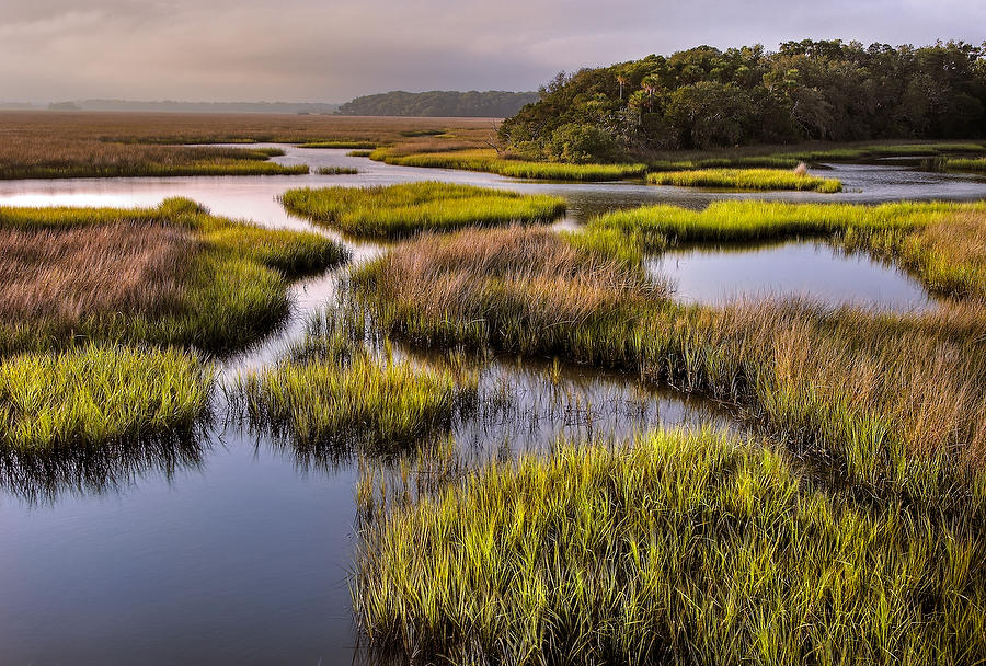 Round Marsh 
081906-44 : Timucuan Preserve  : Will Dickey Florida Fine Art Nature and Wildlife Photography - Images of Florida's First Coast - Nature and Landscape Photographs of Jacksonville, St. Augustine, Florida nature preserves