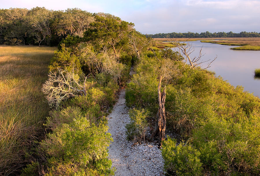 Round Marsh Point 081906-54 : Timucuan Preserve  : Will Dickey Florida Fine Art Nature and Wildlife Photography - Images of Florida's First Coast - Nature and Landscape Photographs of Jacksonville, St. Augustine, Florida nature preserves