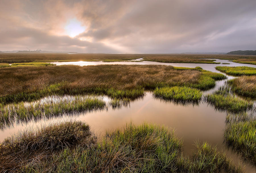 Round Marsh Sunrise 081906-19 : Timucuan Preserve  : Will Dickey Florida Fine Art Nature and Wildlife Photography - Images of Florida's First Coast - Nature and Landscape Photographs of Jacksonville, St. Augustine, Florida nature preserves