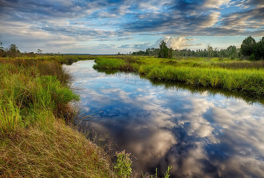 Thomas Creek 
091312-37 : Timucuan Preserve  : Will Dickey Florida Fine Art Nature and Wildlife Photography - Images of Florida's First Coast - Nature and Landscape Photographs of Jacksonville, St. Augustine, Florida nature preserves