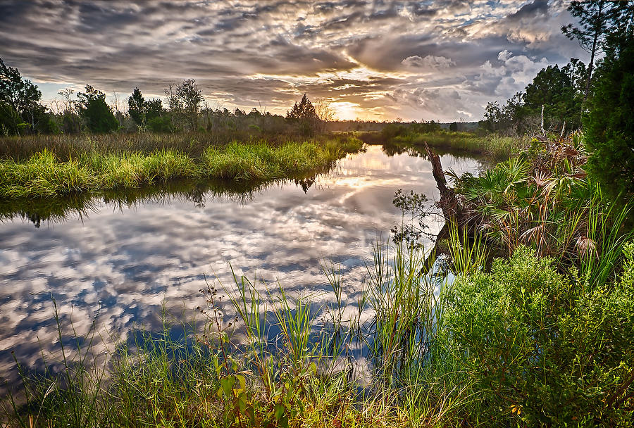 Thomas Creek 
091312-64  : Timucuan Preserve  : Will Dickey Florida Fine Art Nature and Wildlife Photography - Images of Florida's First Coast - Nature and Landscape Photographs of Jacksonville, St. Augustine, Florida nature preserves