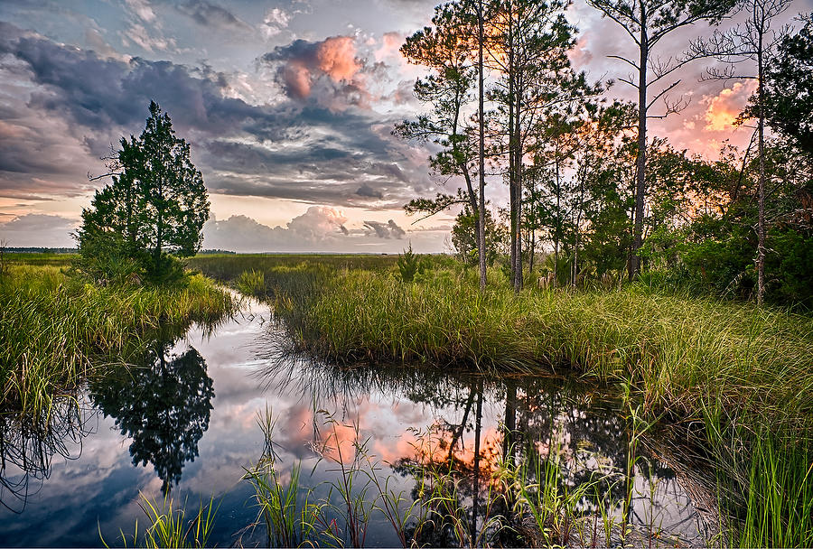 Thomas Creek Joel's Landing 
091312-10 : Timucuan Preserve  : Will Dickey Florida Fine Art Nature and Wildlife Photography - Images of Florida's First Coast - Nature and Landscape Photographs of Jacksonville, St. Augustine, Florida nature preserves