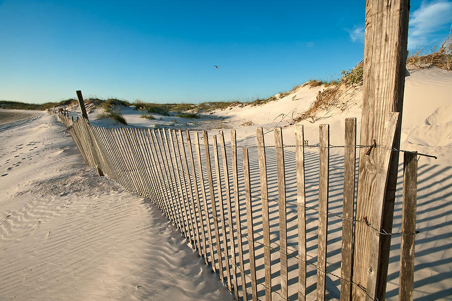 Huguenot Fence 
070510-243 : Beaches : Will Dickey Florida Fine Art Nature and Wildlife Photography - Images of Florida's First Coast - Nature and Landscape Photographs of Jacksonville, St. Augustine, Florida nature preserves