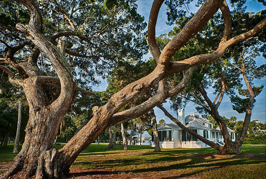 Kingsley House 
091413-133 : Timucuan Preserve  : Will Dickey Florida Fine Art Nature and Wildlife Photography - Images of Florida's First Coast - Nature and Landscape Photographs of Jacksonville, St. Augustine, Florida nature preserves