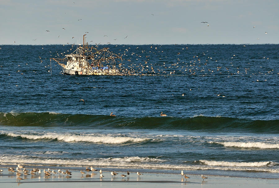 Fernandina Shrimping
100710-22 : Beaches : Will Dickey Florida Fine Art Nature and Wildlife Photography - Images of Florida's First Coast - Nature and Landscape Photographs of Jacksonville, St. Augustine, Florida nature preserves