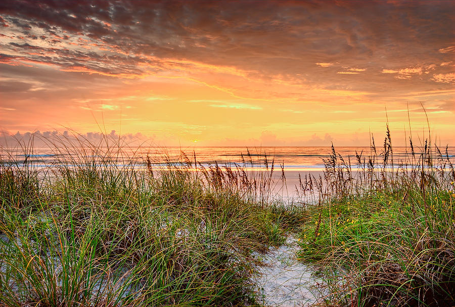 Jacksonville Beach Sunrise 082609-39 : Beaches : Will Dickey Florida Fine Art Nature and Wildlife Photography - Images of Florida's First Coast - Nature and Landscape Photographs of Jacksonville, St. Augustine, Florida nature preserves