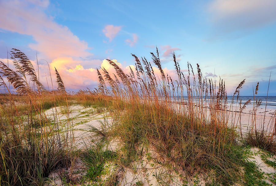 St. George Island Sunset 081010-21 : Beaches : Will Dickey Florida Fine Art Nature and Wildlife Photography - Images of Florida's First Coast - Nature and Landscape Photographs of Jacksonville, St. Augustine, Florida nature preserves