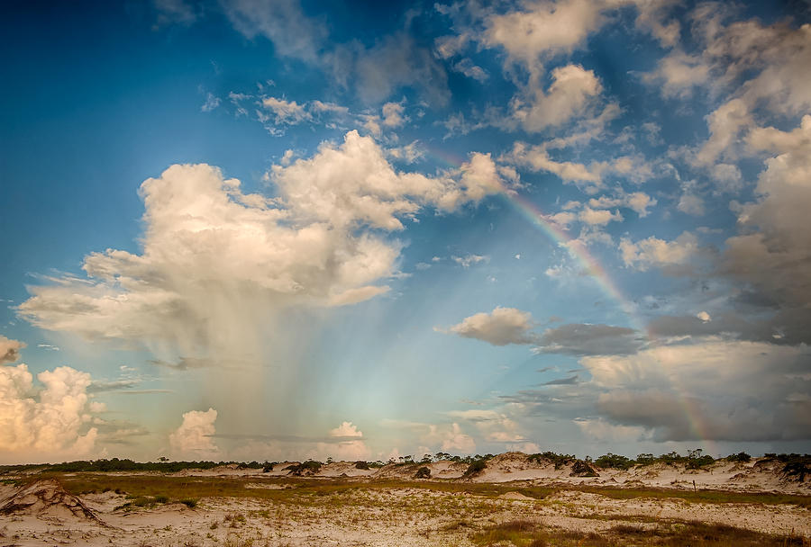 St. George Morning Rain 081010-349 : Beaches : Will Dickey Florida Fine Art Nature and Wildlife Photography - Images of Florida's First Coast - Nature and Landscape Photographs of Jacksonville, St. Augustine, Florida nature preserves