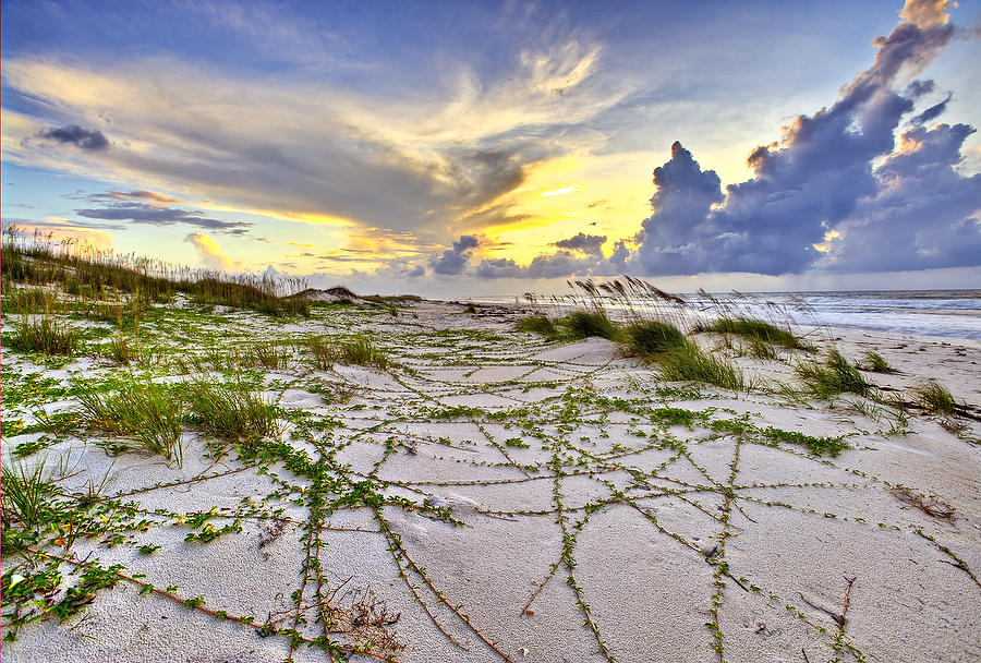 St. George Sunrise 081010-265 : Beaches : Will Dickey Florida Fine Art Nature and Wildlife Photography - Images of Florida's First Coast - Nature and Landscape Photographs of Jacksonville, St. Augustine, Florida nature preserves