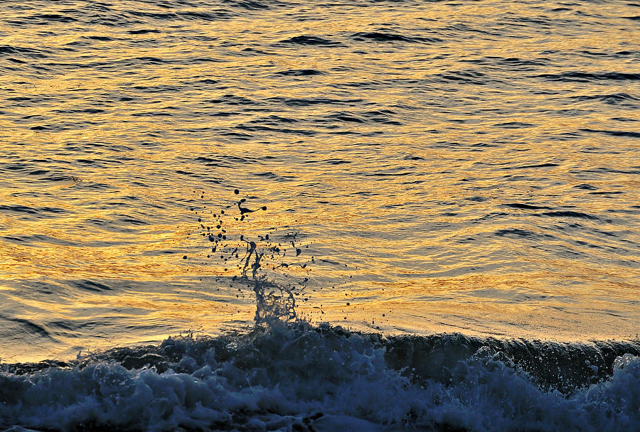 Sunrise Splash
032911-24 : Beaches : Will Dickey Florida Fine Art Nature and Wildlife Photography - Images of Florida's First Coast - Nature and Landscape Photographs of Jacksonville, St. Augustine, Florida nature preserves