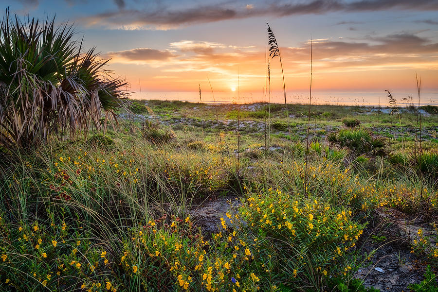 Hanna Park Sunrise 071217-148 : Timucuan Preserve  : Will Dickey Florida Fine Art Nature and Wildlife Photography - Images of Florida's First Coast - Nature and Landscape Photographs of Jacksonville, St. Augustine, Florida nature preserves