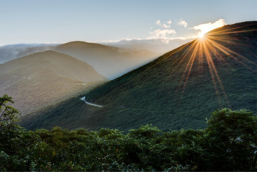 Craggy Pinnacle Sunrise 073017-53 : Appalachian Mountains : Will Dickey Florida Fine Art Nature and Wildlife Photography - Images of Florida's First Coast - Nature and Landscape Photographs of Jacksonville, St. Augustine, Florida nature preserves