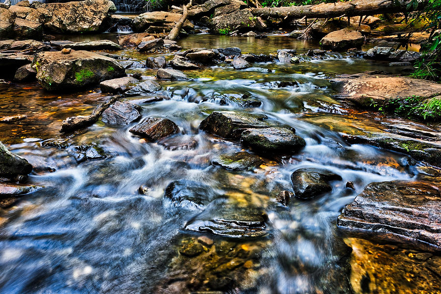 Georgia Mountain Stream 
062616-299 : Appalachian Mountains : Will Dickey Florida Fine Art Nature and Wildlife Photography - Images of Florida's First Coast - Nature and Landscape Photographs of Jacksonville, St. Augustine, Florida nature preserves