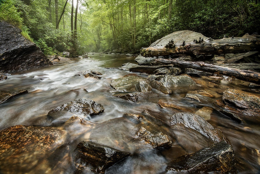 Looking Glass Creek 072817-16 : Appalachian Mountains : Will Dickey Florida Fine Art Nature and Wildlife Photography - Images of Florida's First Coast - Nature and Landscape Photographs of Jacksonville, St. Augustine, Florida nature preserves