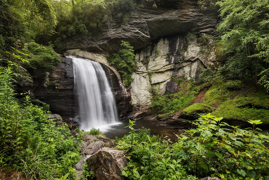 Looking Glass Falls 072817-25 : Appalachian Mountains : Will Dickey Florida Fine Art Nature and Wildlife Photography - Images of Florida's First Coast - Nature and Landscape Photographs of Jacksonville, St. Augustine, Florida nature preserves