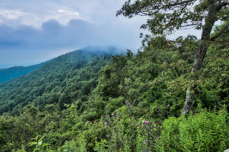 Nantahala Mist 
072717-40 : Appalachian Mountains : Will Dickey Florida Fine Art Nature and Wildlife Photography - Images of Florida's First Coast - Nature and Landscape Photographs of Jacksonville, St. Augustine, Florida nature preserves