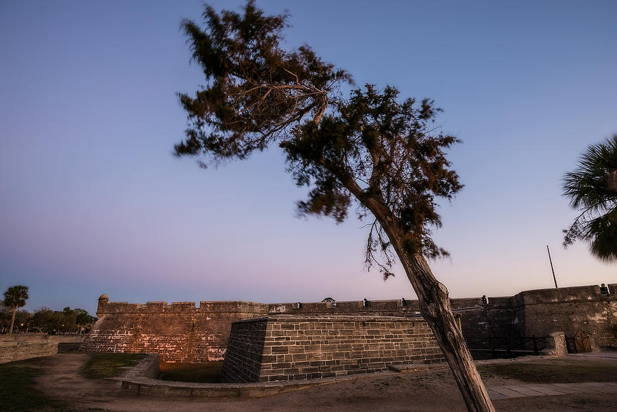 Castillo Cedar 
031117-25 : Landmarks & Historic Structures : Will Dickey Florida Fine Art Nature and Wildlife Photography - Images of Florida's First Coast - Nature and Landscape Photographs of Jacksonville, St. Augustine, Florida nature preserves